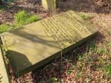 image of grave number 432874
